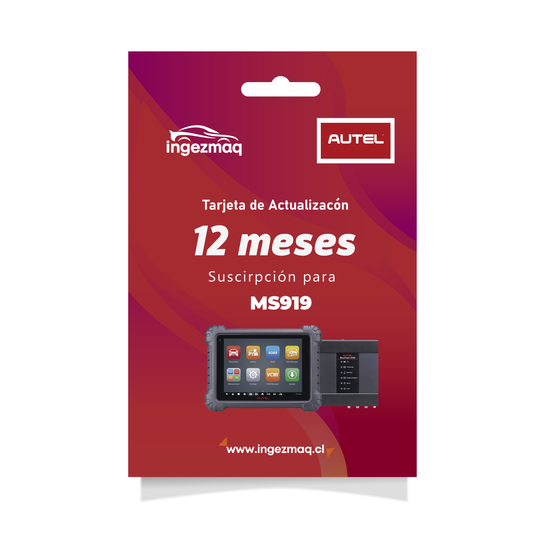 Tarjeta de Actualización MS919